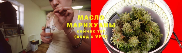 хмурый Арсеньев