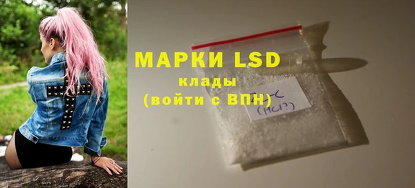 хмурый Арсеньев