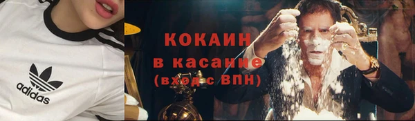 гидра Аркадак