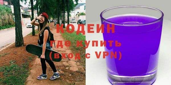 хмурый Арсеньев