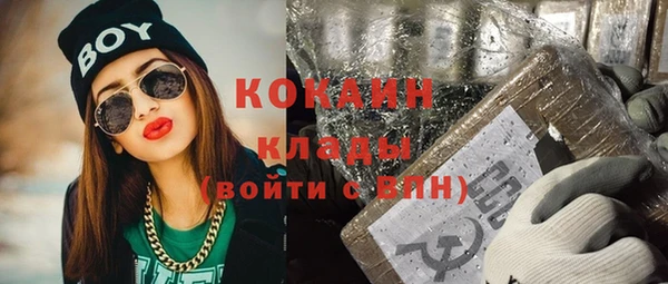 хмурый Арсеньев