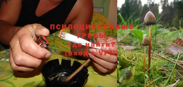 хмурый Арсеньев