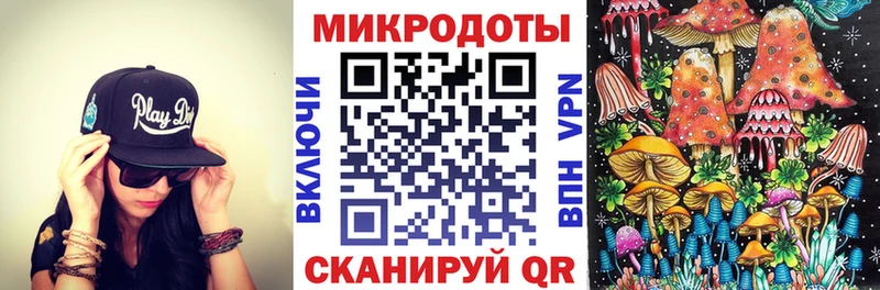 Галлюциногенные грибы прущие грибы  Бодайбо 